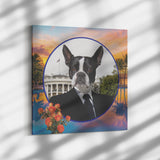 Buddy Boston Terrier Canvas