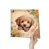 Butter Poodle Poster