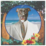 Peter Pit Bull Canvas