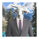 Ray_Goat_12x12_Flat_H_Mockup.png