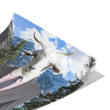 Ray_Goat_12x12_Fold_Mockup.png