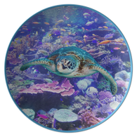 Tasha_Turtle_Flat_Mockup.png_15791991