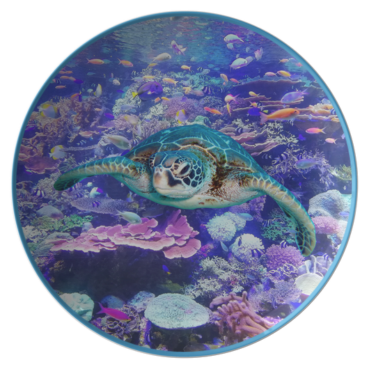 Tasha_Turtle_Flat_Mockup.png_15791991