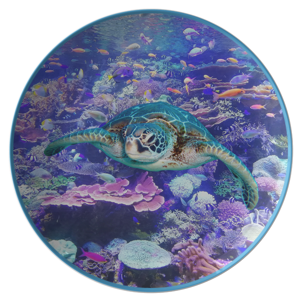Tasha_Turtle_Flat_Mockup.png_15791991