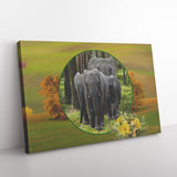 Elephant Family Canvas